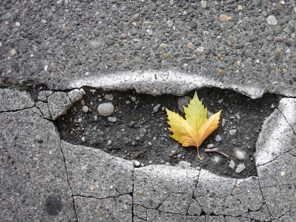 Why does Asphalt Crack? What are the Factors and Hazards?
